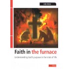 Faith In The Furnace by Ian Rees